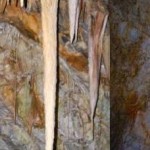 זקיפים במערת הנטיפים